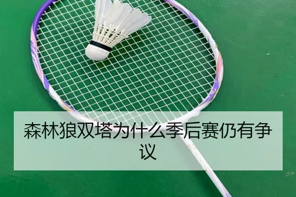 森林狼双塔为什么季后赛仍有争议