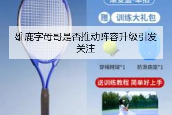 雄鹿字母哥是否推动阵容升级引发关注